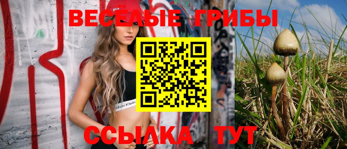 Михайловка  Галлюциногенные грибы ЛСД  купить закладку  Вход с VPN 