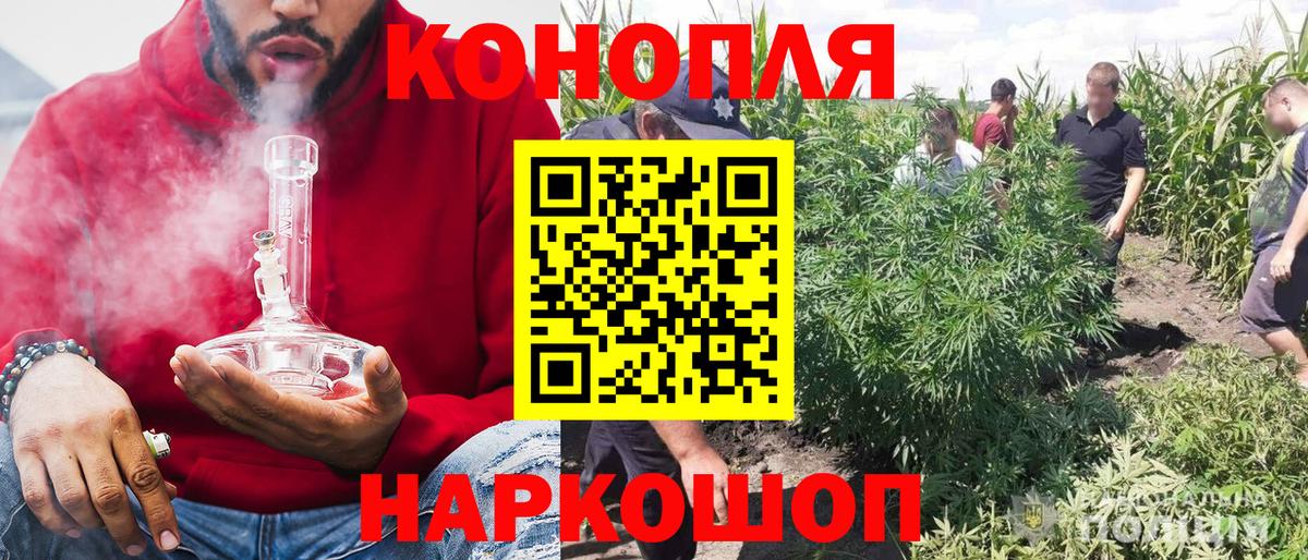 МАРИХУАНА MAZAR  Вход с VPN  Бошки Шишки конопля  МАРИХУАНА MAZAR  Михайловка 